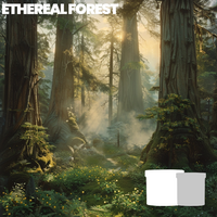 Ethereal Forest